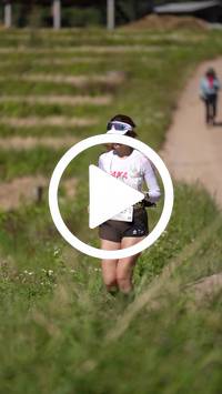 BIB:  <button type="button" onclick="openModal(26787412)" class="btn btn-primary btn-sm float-right" data-toggle="modal" data-target=".modal-high-quality">
                <i class="fa fa-download"></i> Download
                </button>